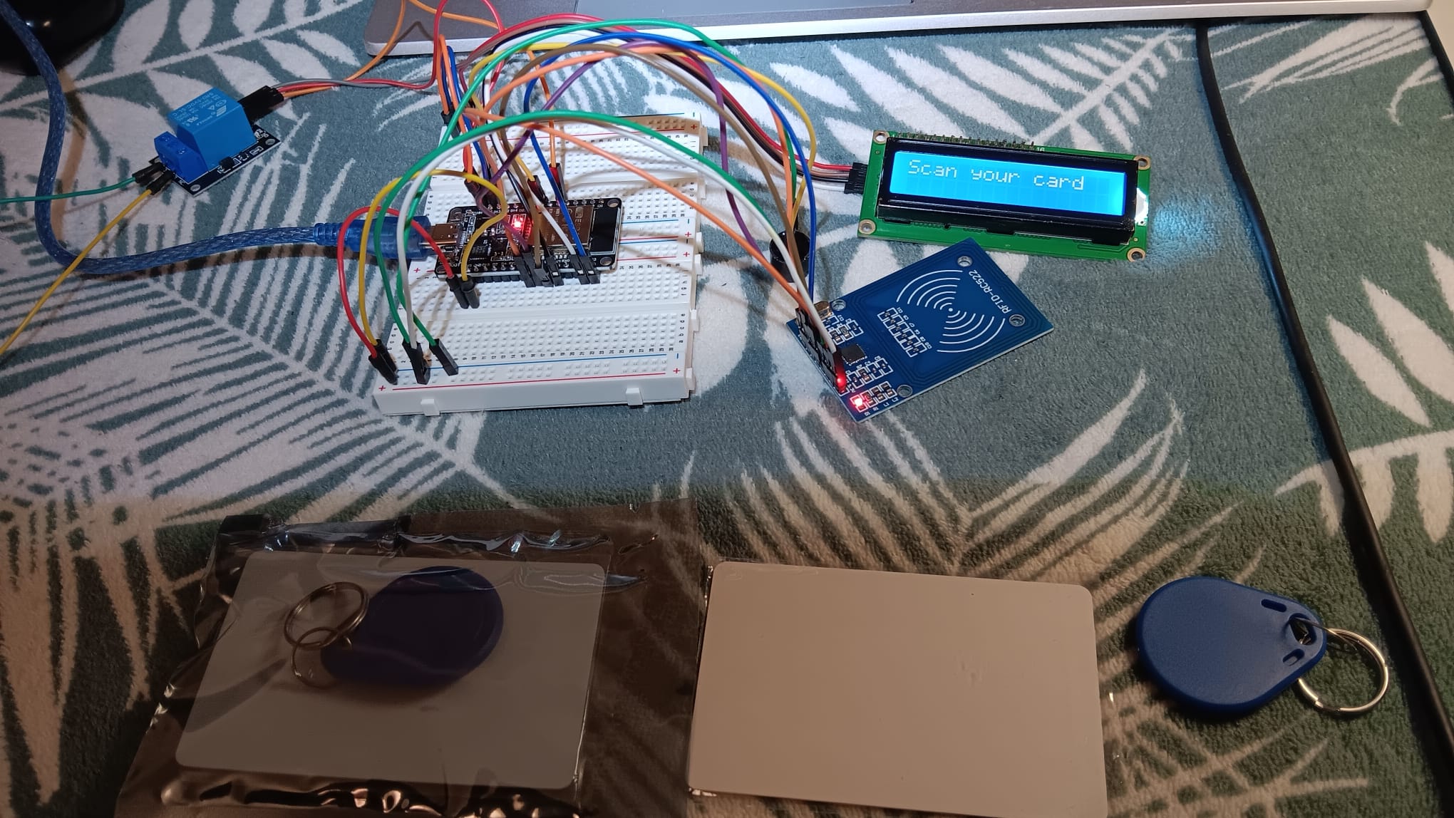 RFID Door Access Control